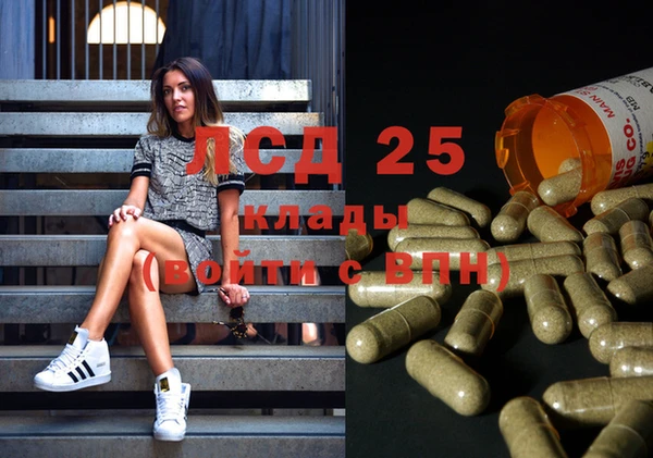 ГАЛЛЮЦИНОГЕННЫЕ ГРИБЫ Алзамай