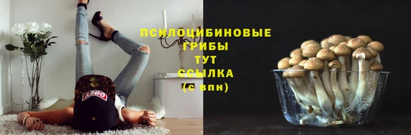 ГАЛЛЮЦИНОГЕННЫЕ ГРИБЫ Алзамай