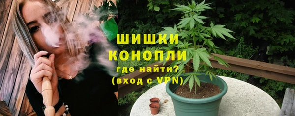ГАЛЛЮЦИНОГЕННЫЕ ГРИБЫ Алзамай